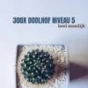 300X Doolhof Niveau 5