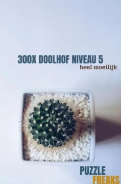 300X Doolhof Niveau 5