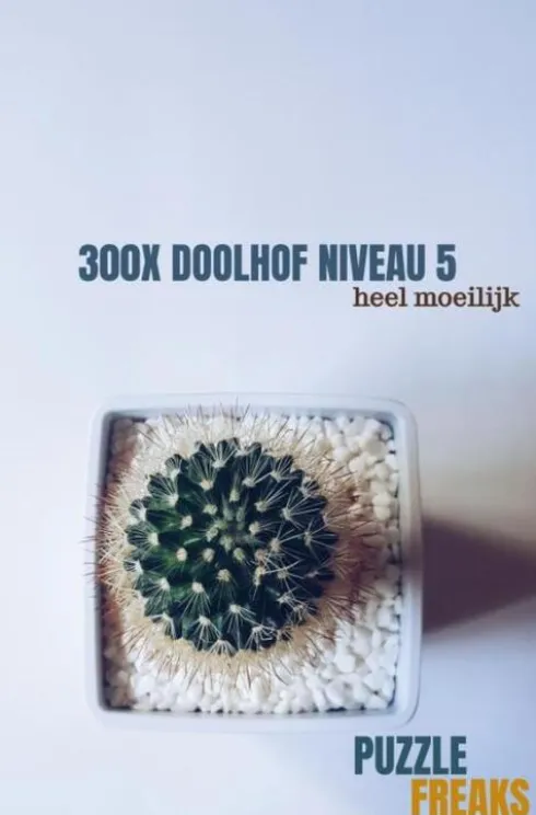 300X Doolhof Niveau 5