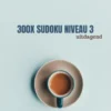 300x SUDOKU NIVEAU 3