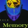 Your Memory