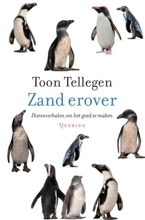 Zand erover