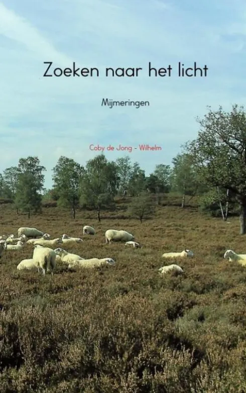 Zoeken naar het licht