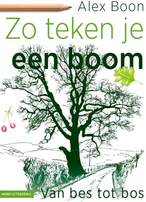 Zo teken je een boom