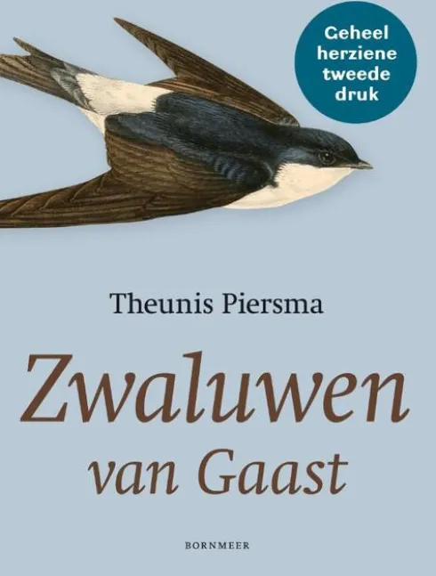 Zwaluwen van Gaast